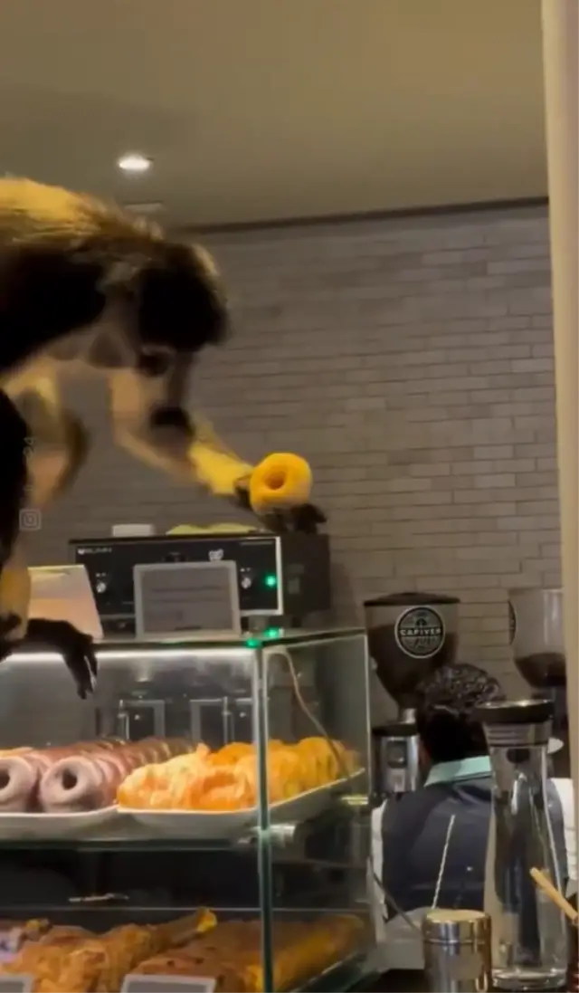 Kaçış anındaki görüntü