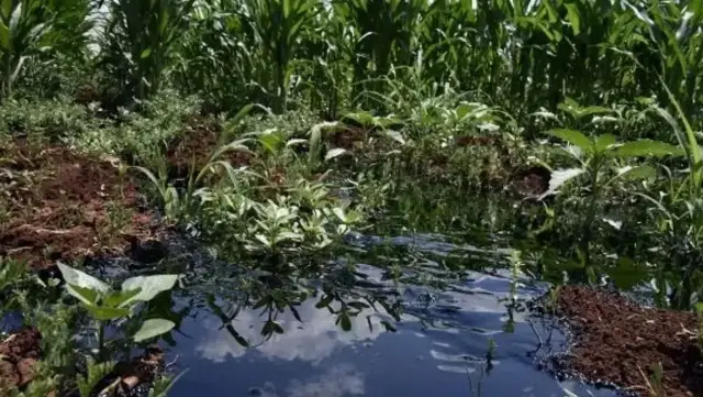 Dicle Üniversitesi laboratuvarları
