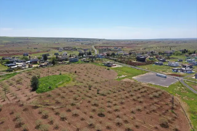 Yoğunburç kazı ekibi