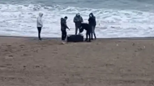 Sakarya'nın Karasu İlçesinde Sahile Vuran Çantada 21,5 Kg Uyuşturucu Ele Geçirildi