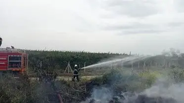 Hatay'ın Hassa İlçesinde Zeytinlik Yangını Hızlı Müdahale ile Kontrol Altına Alındı