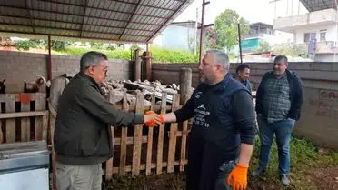 Mersin’de Kurbanlık Satışları Hız Kazandı, Alıcılar Pazarlıkta Rekabeti Artırdı
