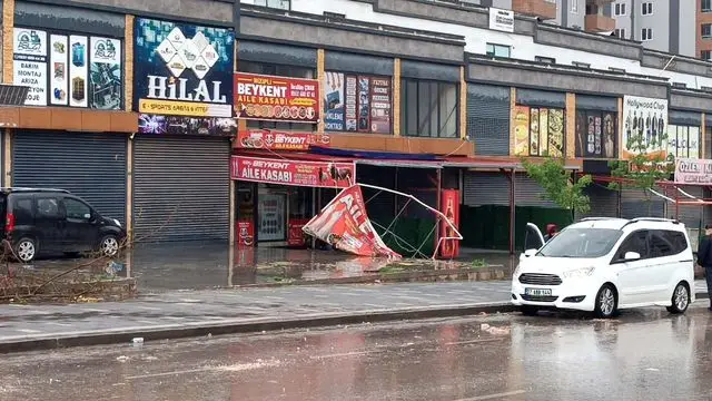 Dökülen ağaç ve kırık elektrik direği