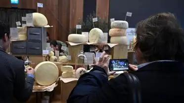 Balıkesir’in Coğrafi İşaretli Peynirleri, Şehrin En Lezzetli Pizzasıyla Buluşuyor