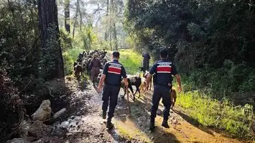 Kumluca’da 41 Keçi Kısa Sürede Jandarma Tarafından Kurtarıldı