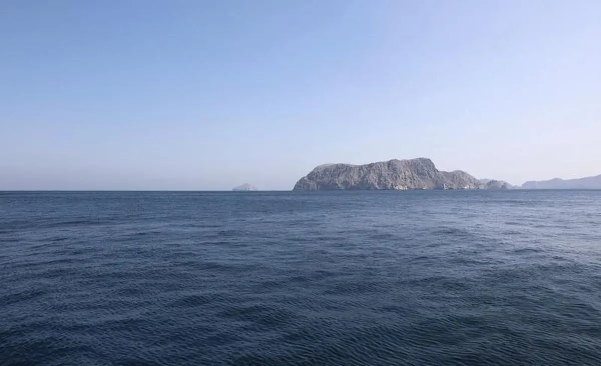 İran Hürmüz Boğazı'nda deniz kontrolü