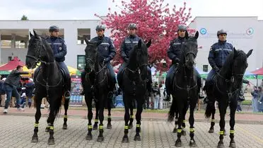 Eskişehir'de Yeşilay'ın Bahar Festivali Renkli Atölyeler ve Spor Etkinlikleriyle Coştu