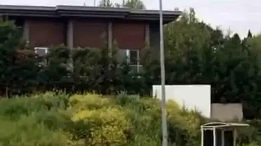 Bursa’nın Mudanya İlçesinde Aç Kalan Domuz Sürüsü Şehir Merkezine İriyor