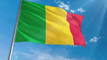 Mali Savunma Bakanı Sadio Camara Silahlı Saldırıda Şehit Oldu