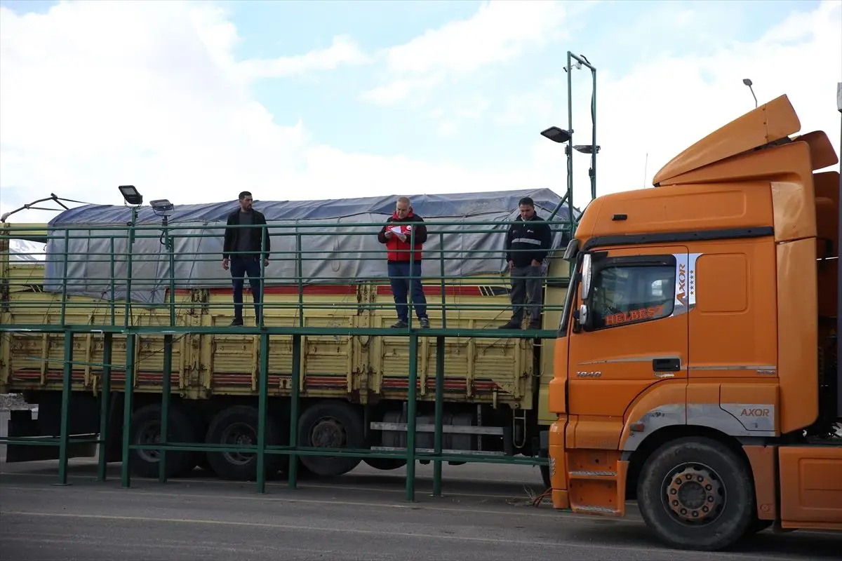 Erzurum’da Kurbanlık Hayvan Kontrolleri Artırıldı: Veterinerler Titiz İnceleme Yapıyor