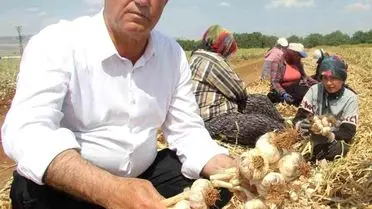 Tarımda Maliyet Azaltma: Çiftçilere Destek Çağrısı