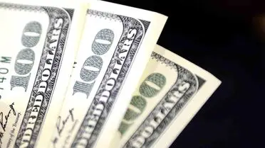 Dolar ve Euro 45,2360 / 53,1120 TL Seviyelerinde Açıldı: Günün Döviz Gelişmeleri