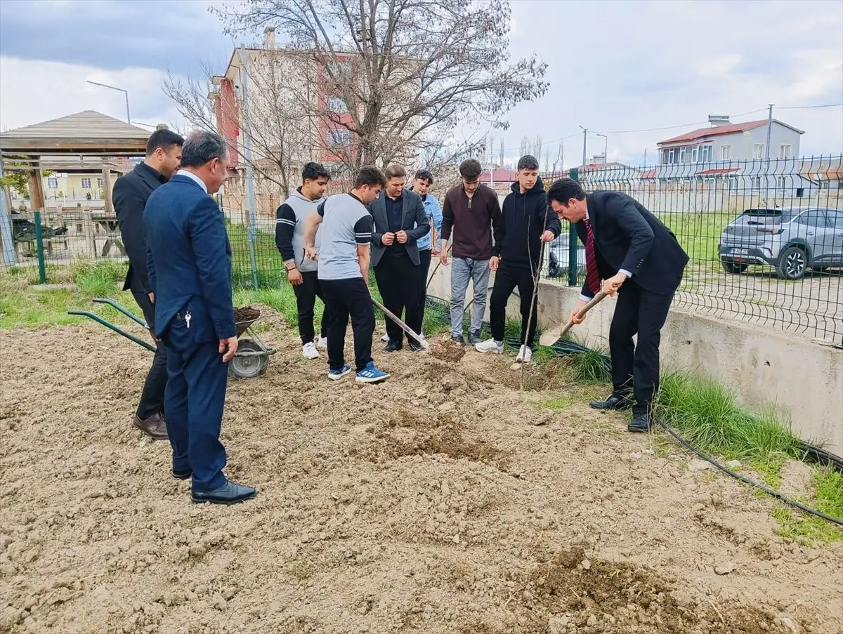 Ulaş’ta Öğrenciler Okul Bahçesine Meyve Fidanları Dikerek Yeşil Geleceğe Katkı Sağladı
