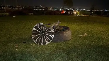 Fatih’te Direksiyon Kaybı Sonucu Araç Takla Attı, Sürücü Hastaneye Kaldırıldı