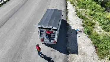 Kargı’da Bayram Öncesi Hayvan Taşıma Denetimleri Sürücüleri Bekliyor