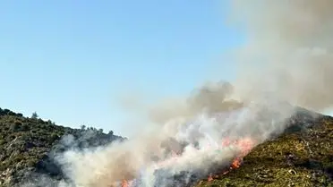 Marmaris'te Orman Yangını Hızla Yayılıyor, Makilik Bölgeye Sıçradı