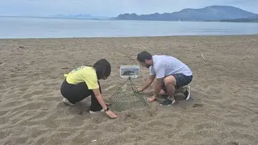 İztuzu Kumsalı’nda Caretta Caretta Yumurtlama Hazırlıkları Tamamlandı