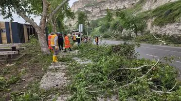 Birecik’te Fırtına Sonrası Temizlik ve Yol Açma Çalışmaları Hızla Sürüyor
