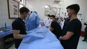 Veteriner ekip hayvanları muayene ediyor