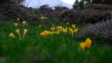 Yozgat’ın Akdağmadeni Yaylalarında Kış ve İlkbahar Dansı