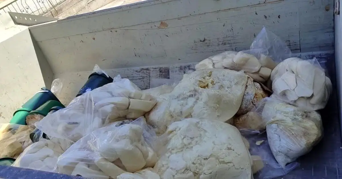 Aydın’da 11 Ton Süt Ürünü İmha Edildi: Denetim Sonuçları Açıklandı