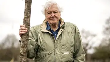 Doğanın Derin Seslerini Dinlemek: Attenborough’un Yeni Bakış Açısı