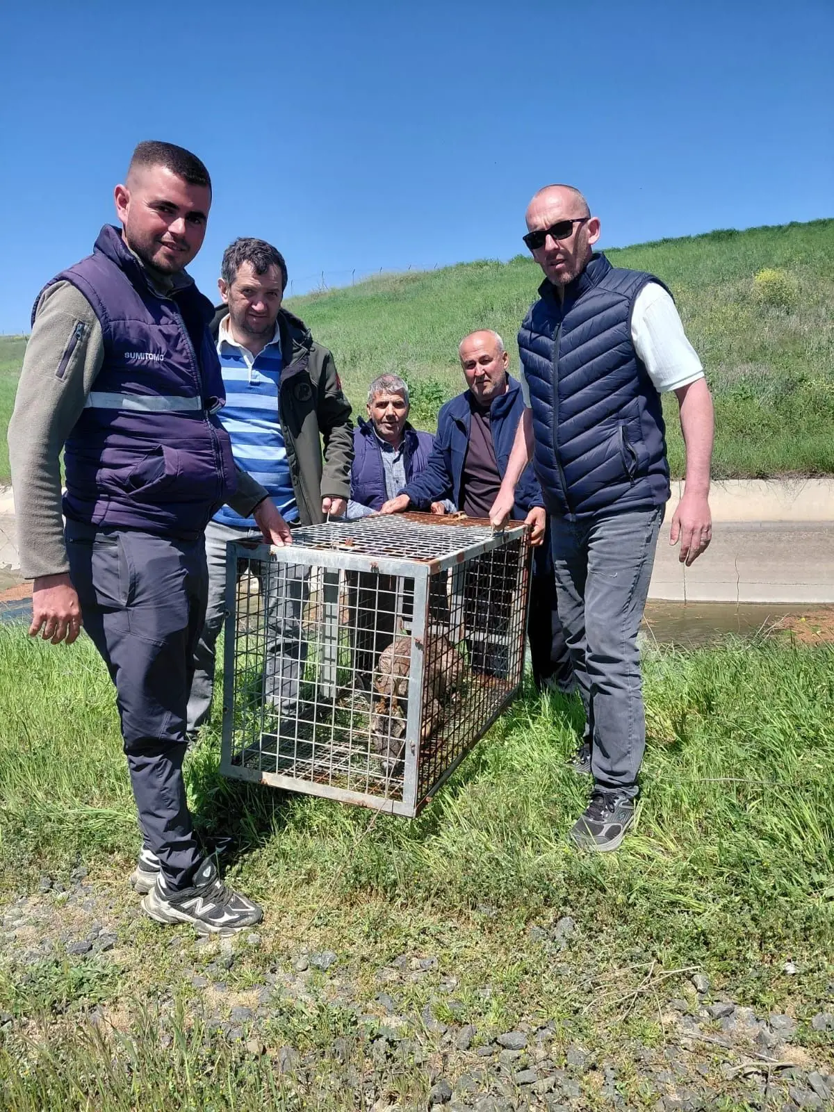 İpsala’da Düşen Karaca Çiftçilerin Yardımıyla Kurtarıldı