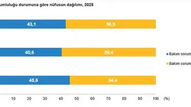 2025’te Türkiye’de Bakım Sorumluluğu ve İşgücü Piyasasına Etkileri