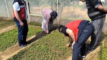 Emet’te Seracılık Çiftçilerine Teknik Destek ve Bilgilendirme Ziyareti