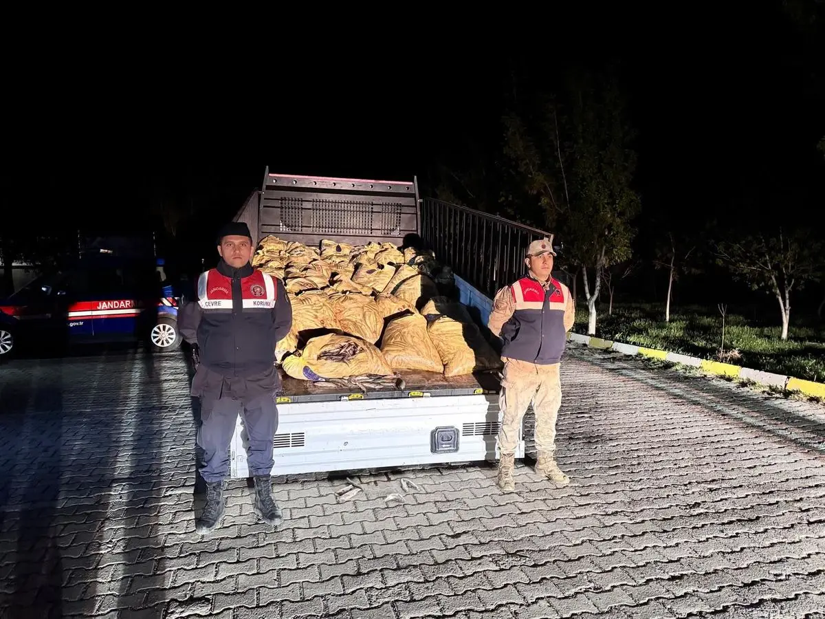 Van Gölü'nde 800 Kilo İnci Kefali Ele Geçirildi: 7 Kaçak Avcı Yakalandı