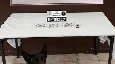 Erzincan'da Jandarma Operasyonu: DEAŞ Bağlantılı Uyuşturucu Çetesi Çökertildi