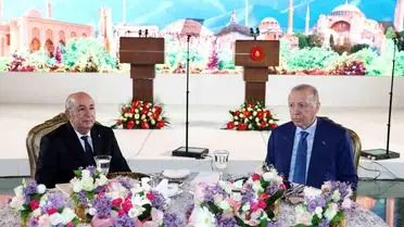 Erdoğan, Cezayir Cumhurbaşkanı Tebbun'a Türkiye Devlet Nişanı Takdim Etti