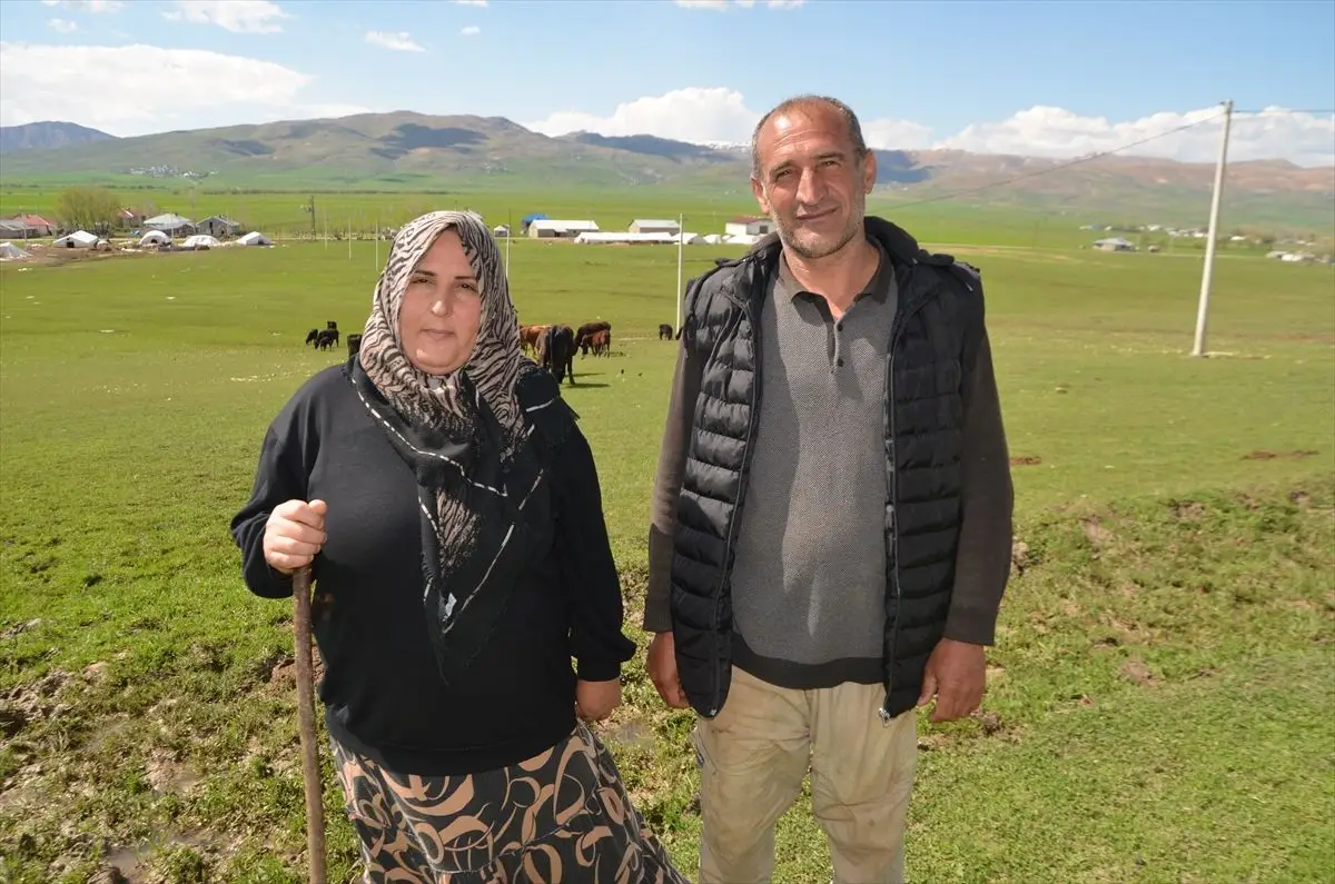 Muş’ta Hayvancılıkta Yeni Dönem: Devlet Desteğiyle Büyüyen Proje