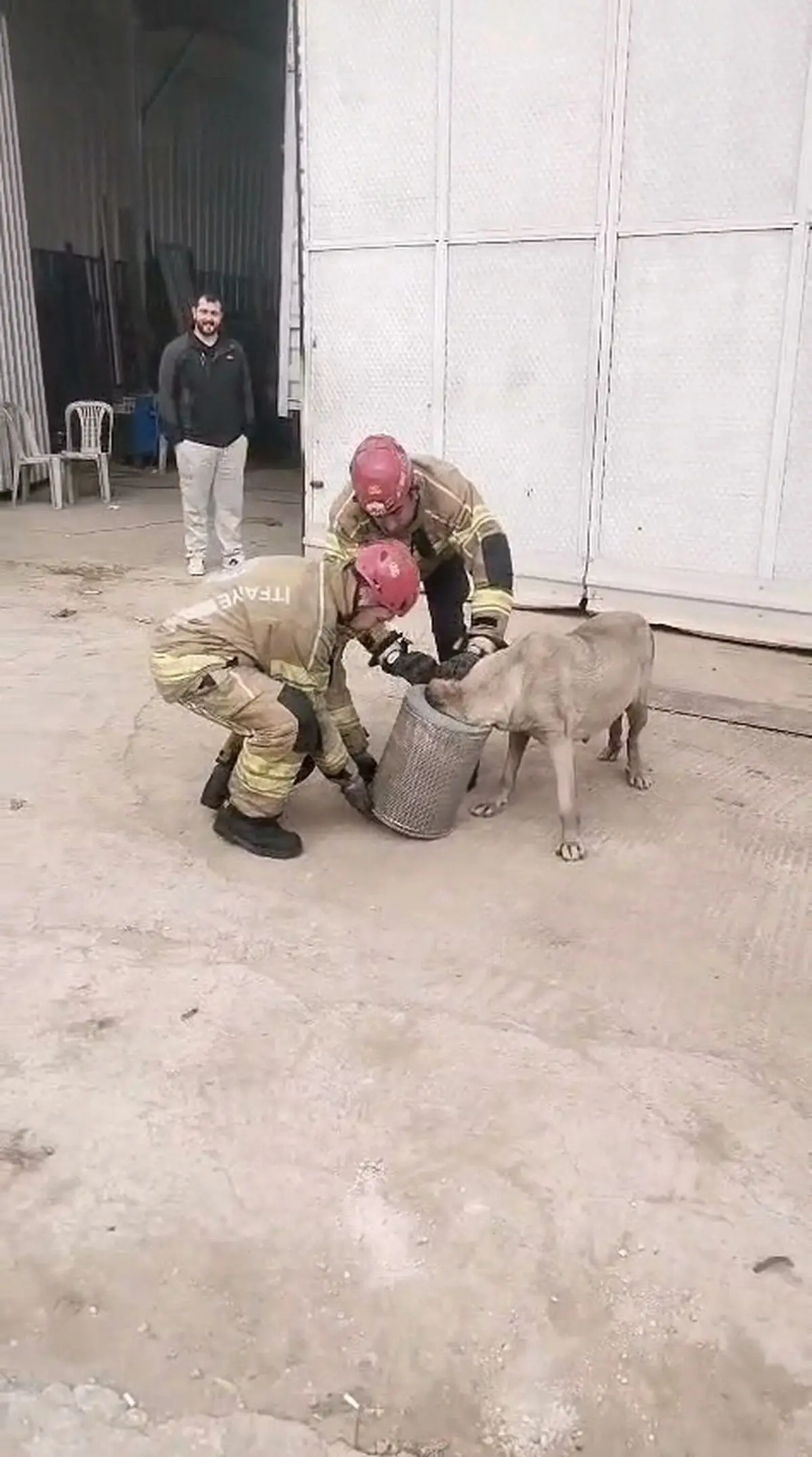 İnegöl'de Hamile Köpek İş Makinesinin Hava Filtresine Sıkıştı, İtfaiye Müdahalesiyle Kurtarıldı