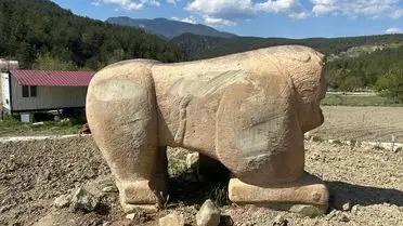 Operasyon sırasında ele geçirilen aslan heykeli