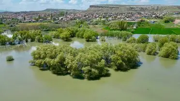 Aksaray’da Melendiz Çayı Taştı: Mesire Alanındaki Ağaçlar Su Altında