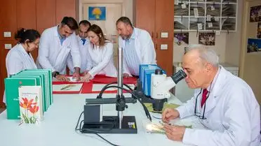 Selçuk Üniversitesi'nden Orta Toroslar’da 4 Yeni Kayagülü Türü Keşfi