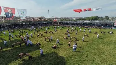 Manavgat'ta 2 Bin Güreşçiyle CW Enerji Yağlı Güreş Ligi İkinci Etabı Açıldı