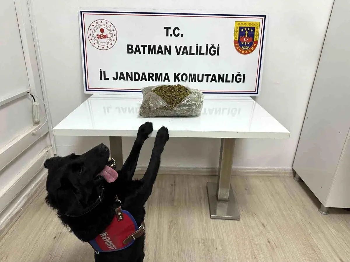 Beşiri yol kontrolü sırasında ele geçirilen skunk