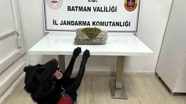 Batman’da Beşiri Yol Kontrolünde 1.452 Kg Skunk Ele Geçirildi, Tek Şahıs Tutuklandı