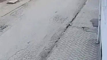 Eskişehir'de Sokak Köpeği Çocuğu Korkuttu, Aile Panik Yaşadı