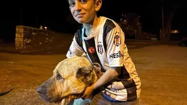 Kangal Köpeği Kral, Ayı Saldırısına Maruz Kalan Çocuğu Kurtardı