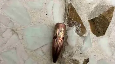 Nusaybin'de Sınır Yakınında Yorgun Mermi Kalıntıları Bulundu