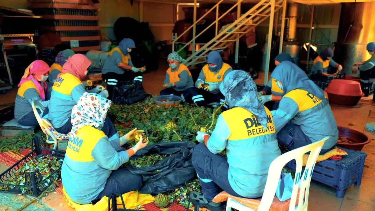 Didim Belediyesi'nden Yerel Doğal Ürün Pazarı: Tıbbi Bitkiler ve Zeytin Ürünleri Halkla Buluşuyor