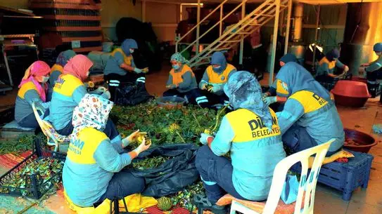 Didim Belediyesi doğal ürün tezgahı