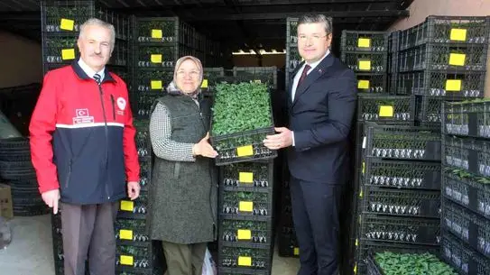 İnebolu’da Çiftçilere 124 Bin 880 Sebze Fidesi Destek Paketi