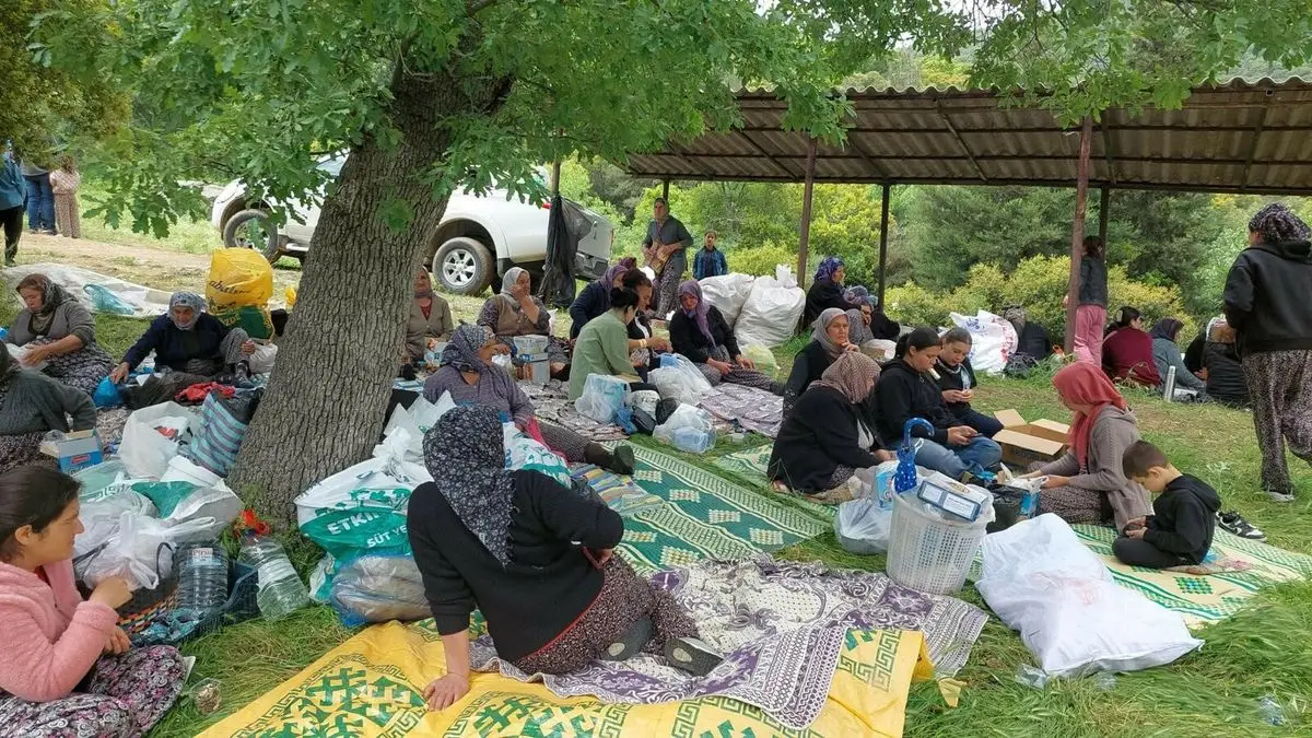 Sarıgöl’de 208 Yıllık Olacak Dede Geleneği Coşkuyla Kutlandı