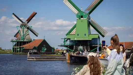 Zaanse Schans'ta Ulusal Değirmen Günü Coşkusu: Tarihi Rüzgar Değirmenleri Yeniden Canlandı