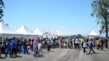 Adana Uçurtma Şenliği'nde Renkli Gökyüzü: Aileler ve Çocuklar Coşkuyla Uçurtma Uçurdu