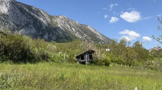 Küre Dağları Milli Parkı'nda Baharın Renkli Dokunuşları